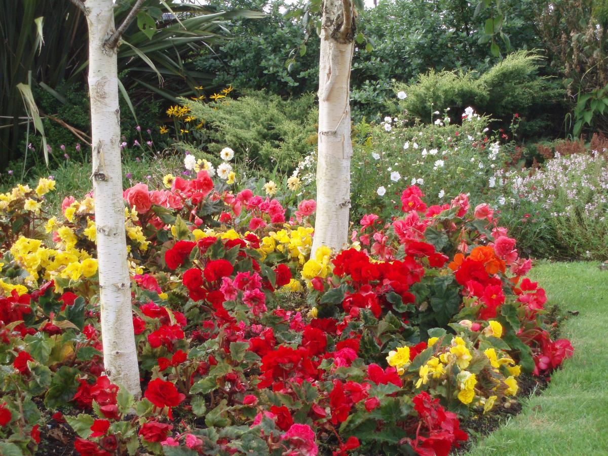 Rosdarrig Bed & Breakfast บอยล์ ภายนอก รูปภาพ